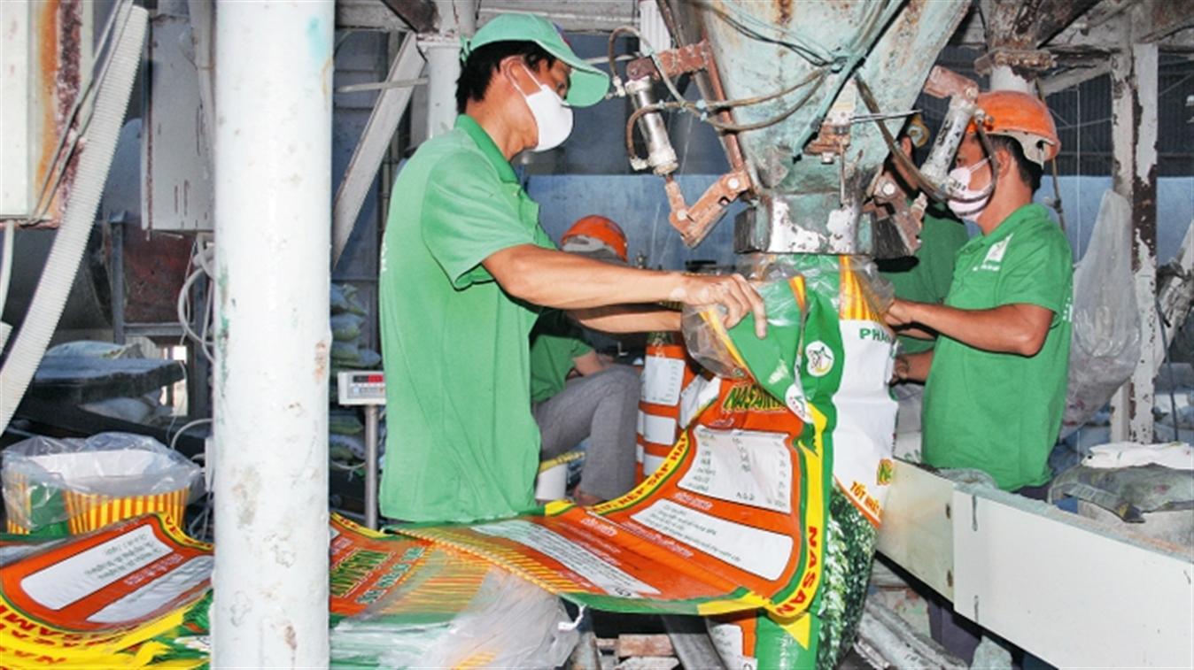 Quản lý chặt hoạt động sản xuất, kinh doanh phân bón