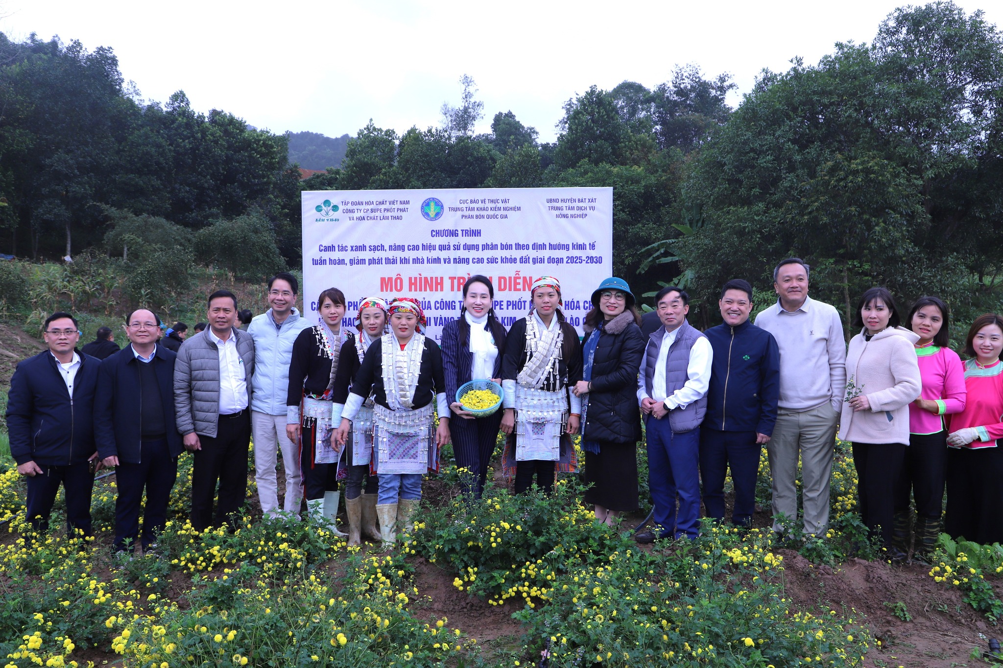 Hội nghị trao đổi, học tập kinh nghiệm trồng, chăm sóc và thu hoạch cây dược liệu cúc chi trên địa bàn huyện Bát Xát tỉnh Lào Cai