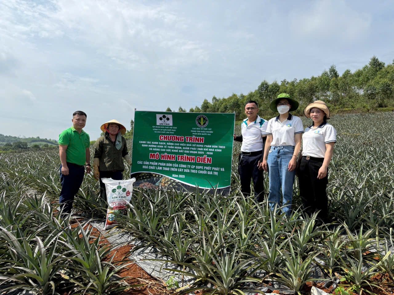 Trung tâm Khảo kiểm nghiệm phân bón Quốc gia thực hiện mô hình trình diễn phân bón trên cây dứa tại tỉnh Thanh Hóa