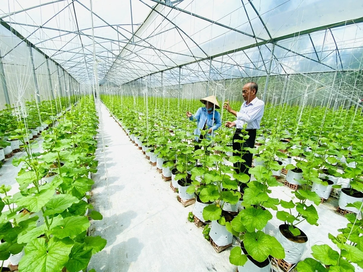 Hành trình từ 8/5/1946 của ngành Trồng trọt