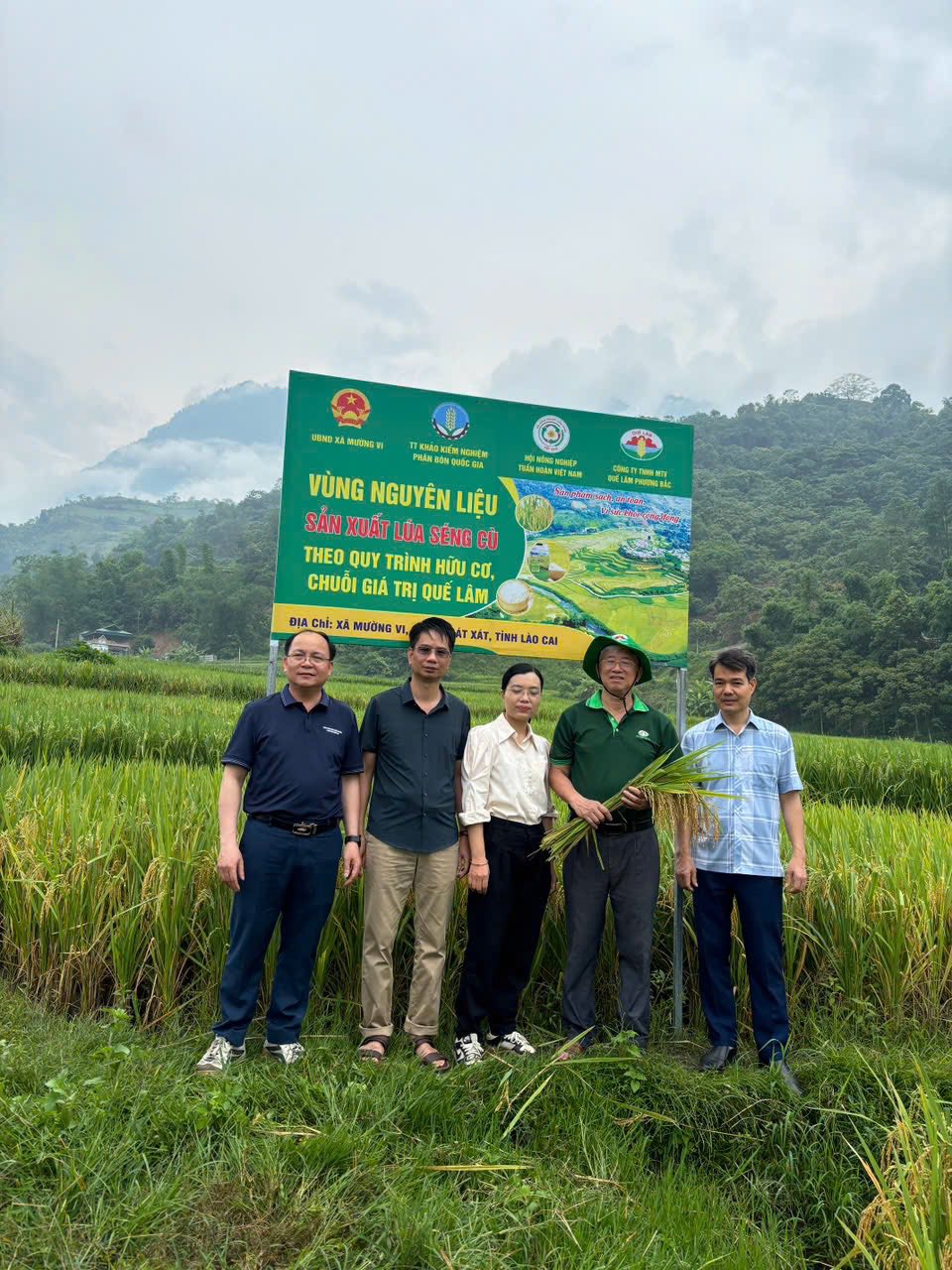 Chuỗi Nông nghiệp hữu cơ của Tập đoàn Quế Lâm.