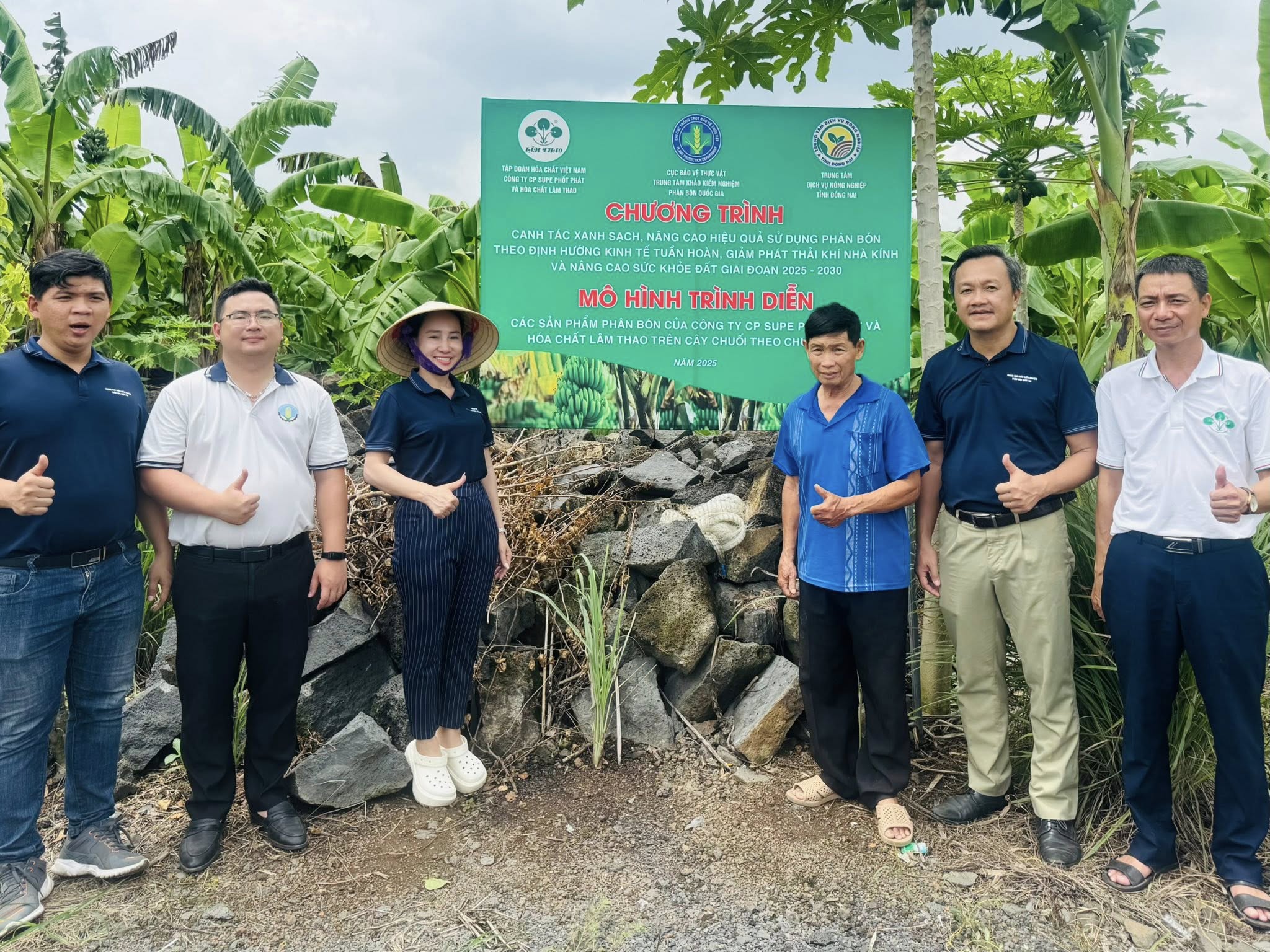 Trung tâm Khảo kiểm nghiệm phân bón Quốc gia thực hiện mô hình trình diễn phân bón Lâm Thao trên cây chuối tại Đồng Nai