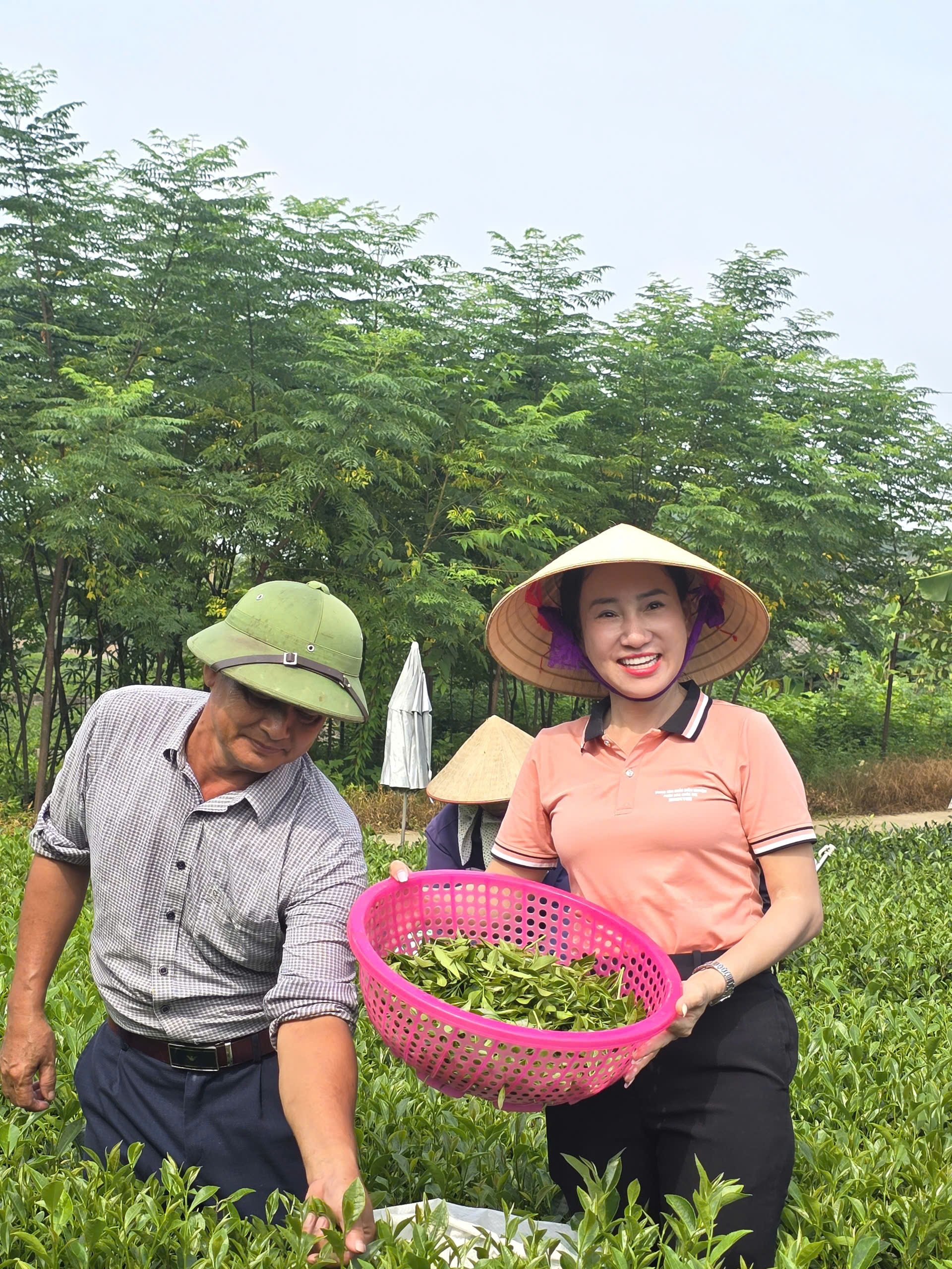 Trung tâm Khảo kiểm nghiệm phân bón Quốc gia – Sức khỏe của đất