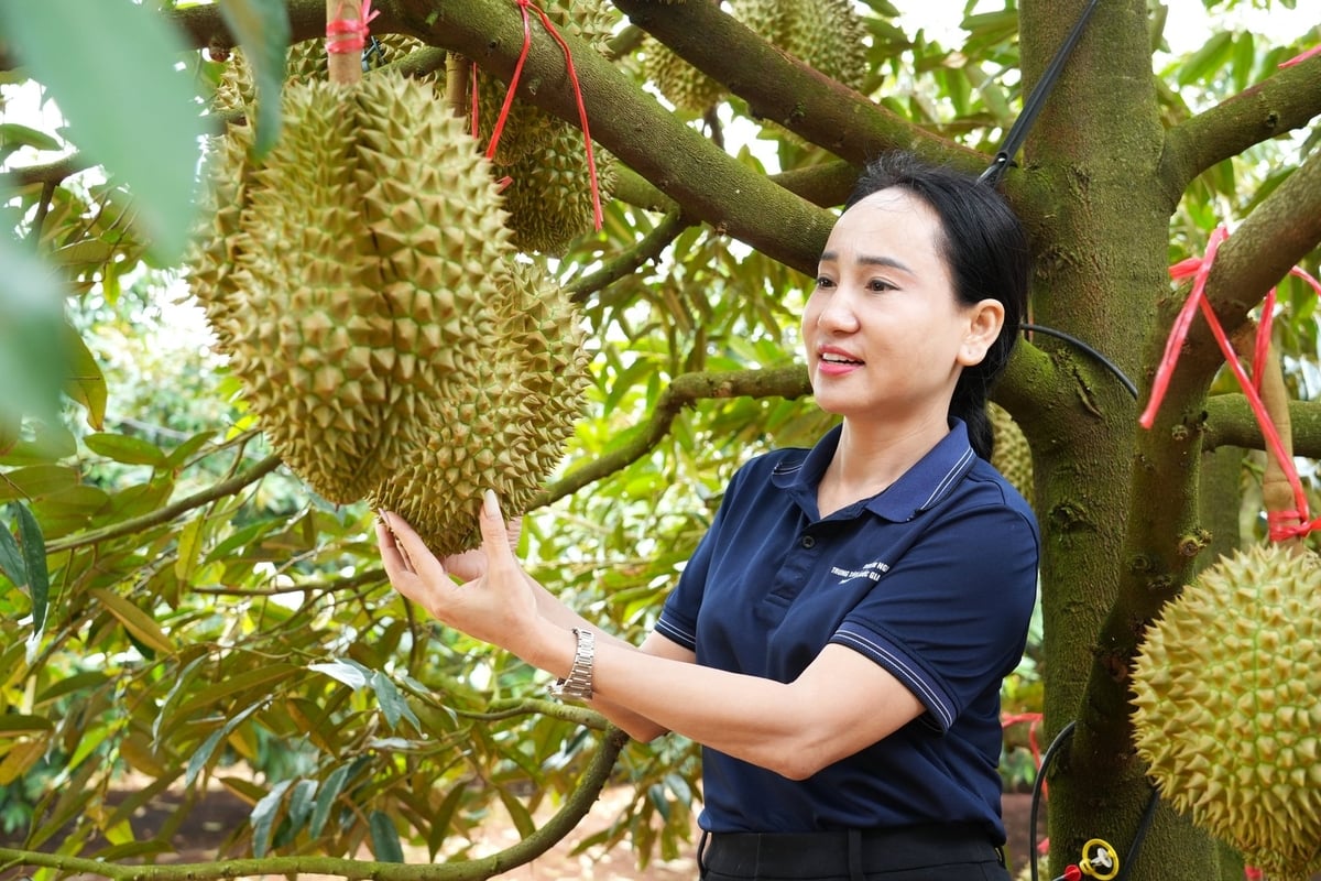 Tái thiết ngành hàng phân bón bằng quy trình và dữ liệu sạch